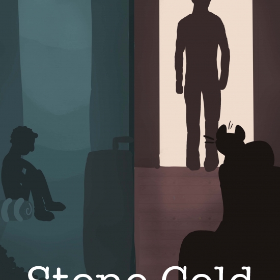 Stone Cold Book Covers